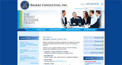 Desktop Screenshot of brakkeconsulting.com